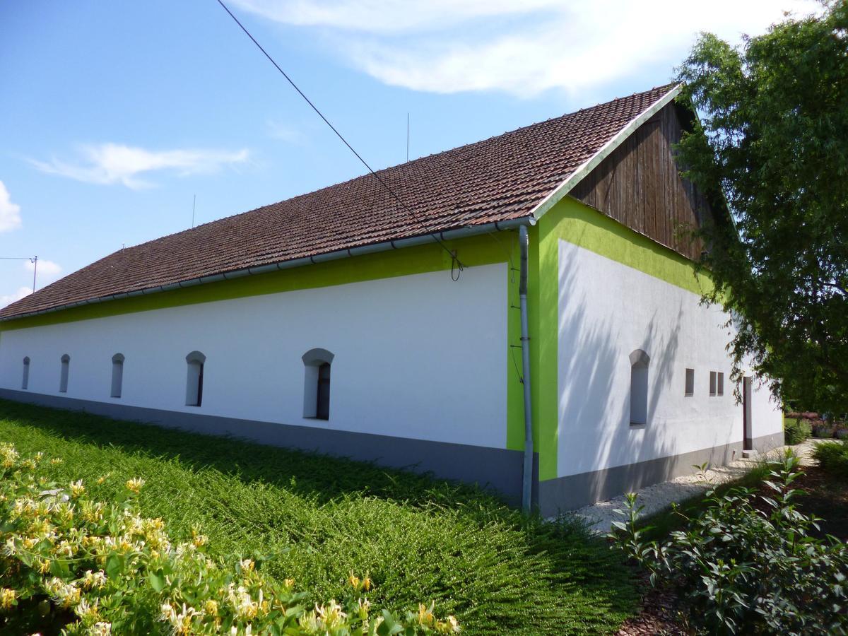 Tisza Lodge B&B - Panzio Tiszaderzs Экстерьер фото